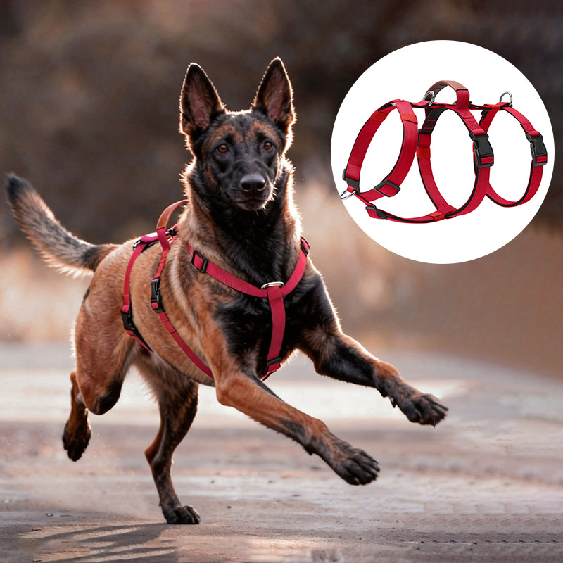No Pull Dog Harness - Pettorina per cani in nylon a