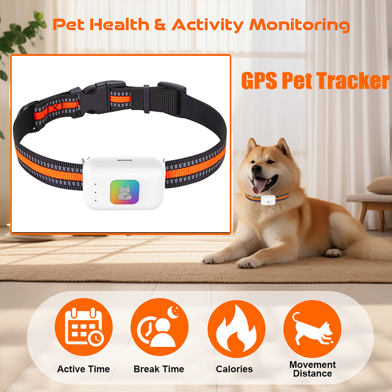 Pet Supplies Discount - Dispositivo di localizzazione GPS AGPS per