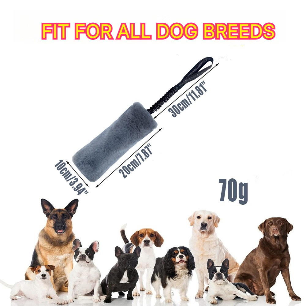 Pet Supplies Young - Confezione da 2 Giocattoli Interattivi per
