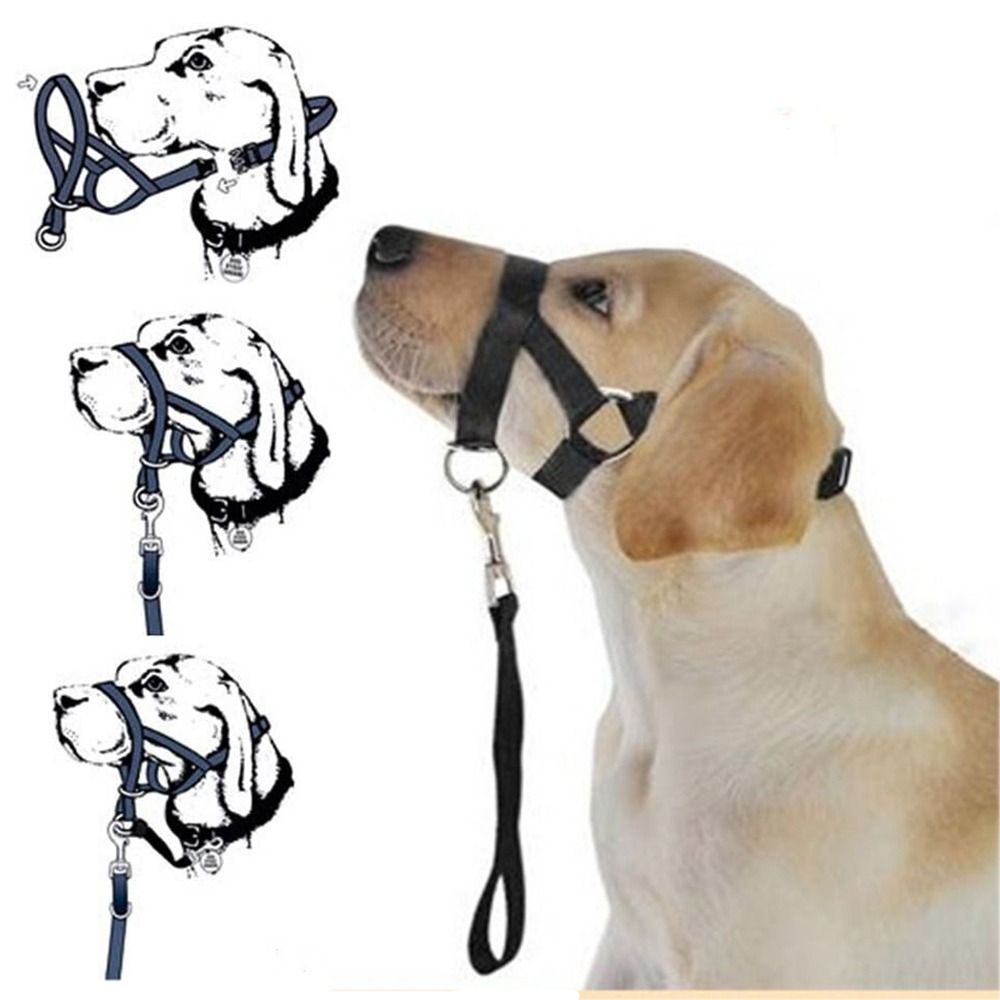 No Pull Dog Harness - Guinzaglio da addestramento in nylon, collare