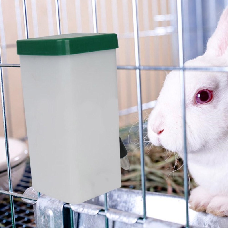 Pet Supplies Discount - Dispenser d'Acqua per Animali Domestici, Bottiglia
