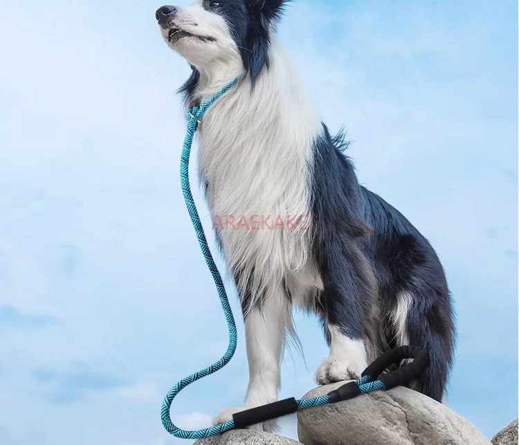 Pet Supplies Young - Corda P antideflagrante per cani da