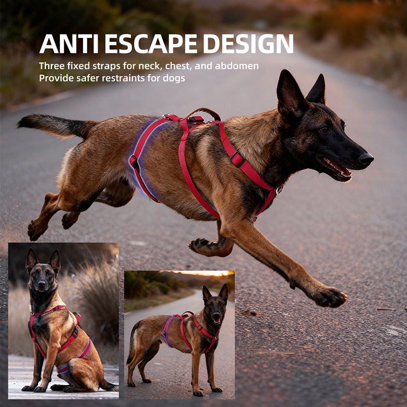 Pettorina per cani in nylon a  - No Pull Dog Harness recensione e prezzo