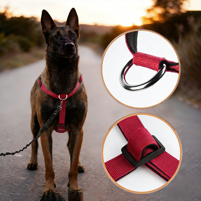 Pettorina per cani in nylon a  - No Pull Dog Harness recensione e prezzo