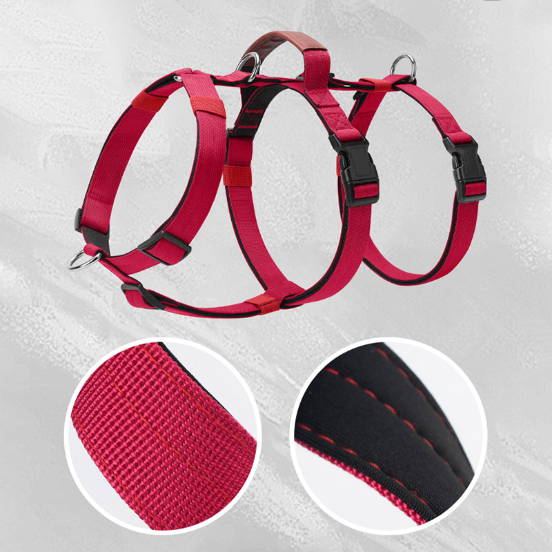 Pettorina per cani in nylon a  - No Pull Dog Harness recensione e prezzo