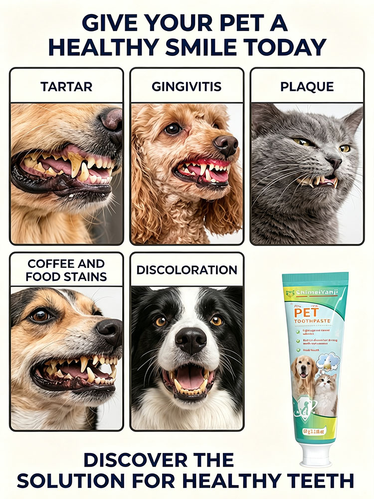 POZOAMIS Dentifricio per la pu - Pet Supplies Young recensione e prezzo