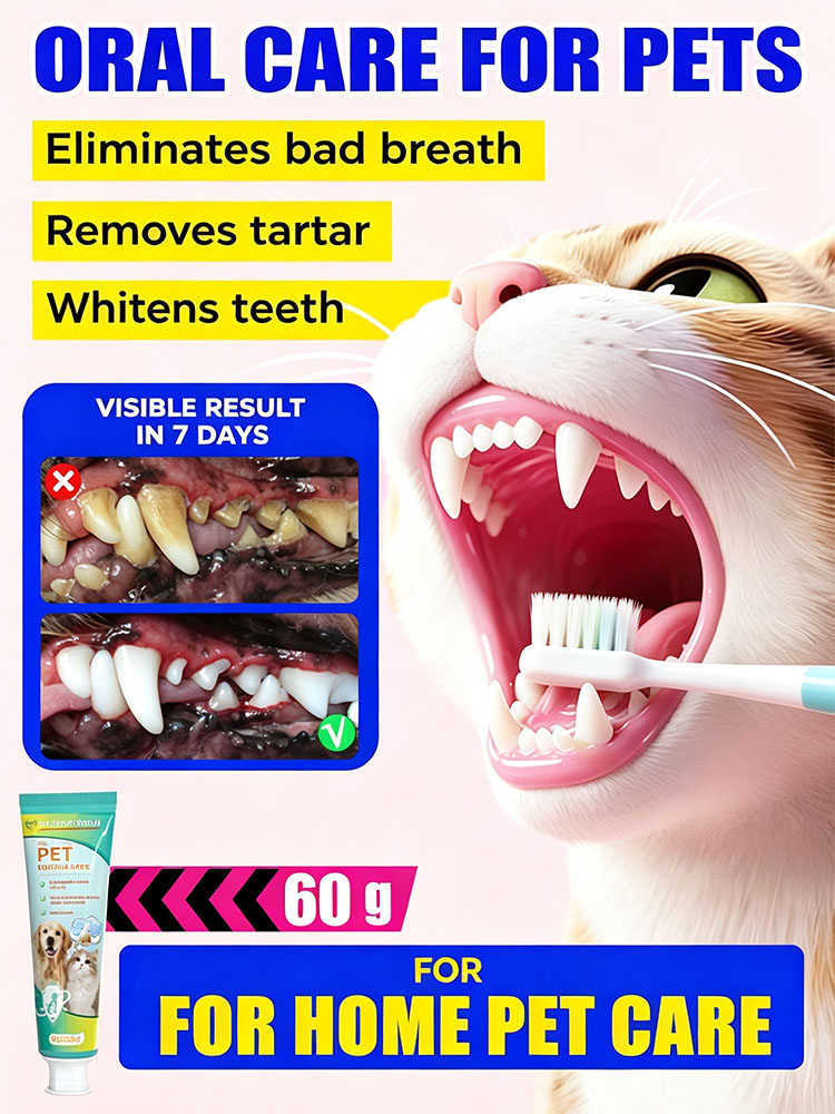 POZOAMIS Dentifricio per la pu - Pet Supplies Young recensione e prezzo