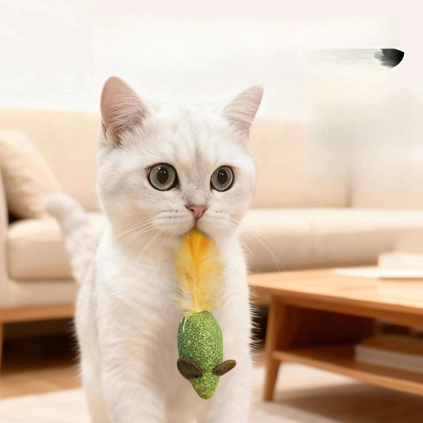 Set di giocattoli Asta teaser  - Pet Supplies Young recensione e prezzo