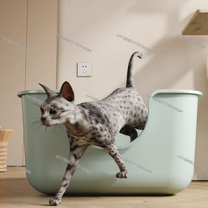 Lettiera per Gatti Extra Large - Pet Supplies Young recensione e prezzo