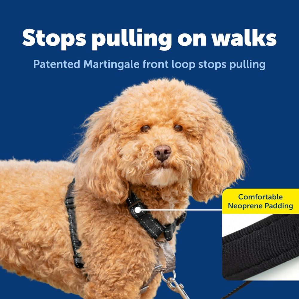 Imbracatura per cani 3 in 1 an - No Pull Dog Harness recensione e prezzo