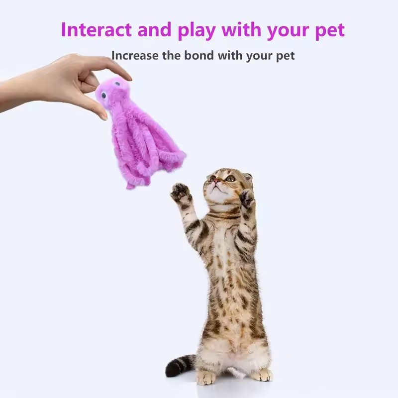 Simpatici giocattoli per gatti - Pet Supplies Young recensione e prezzo