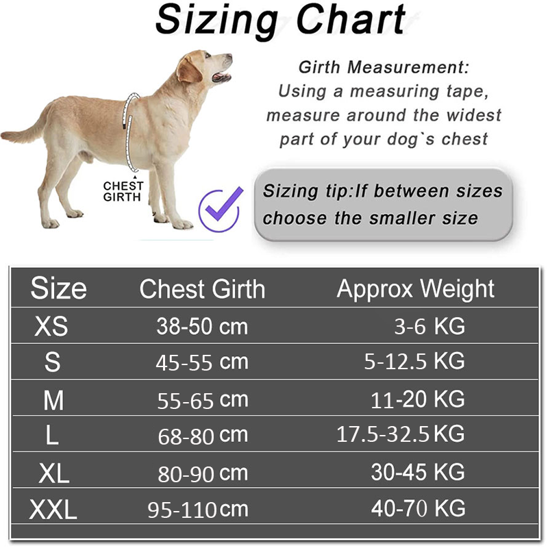 Dropshipping Pettorina per can - No Pull Dog Harness recensione e prezzo