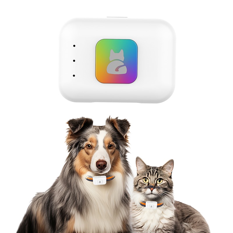 Dispositivo di localizzazione  - Pet Supplies Discount recensione e prezzo