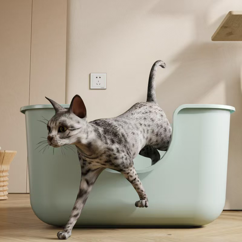 Lettiera per gatti di grandi d - Pet Supplies Young recensione e prezzo