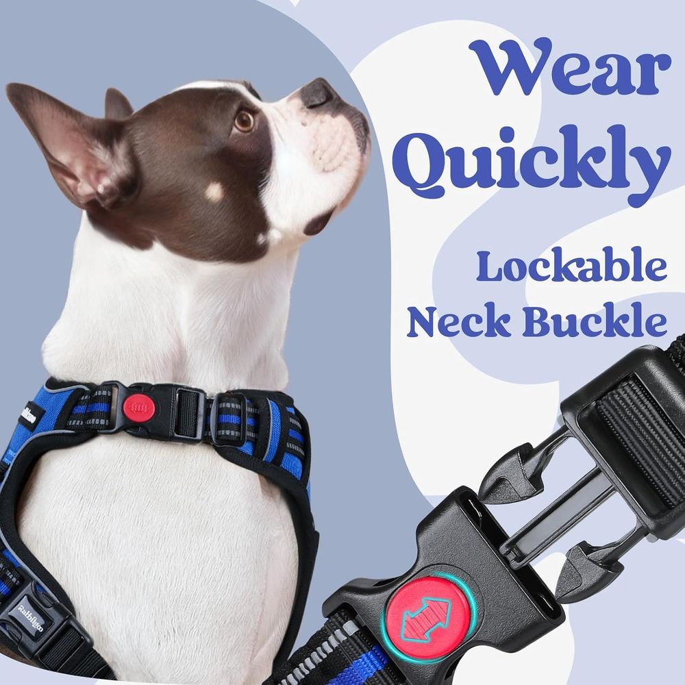 Imbracatura per cani di taglia - No Pull Dog Harness recensione e prezzo