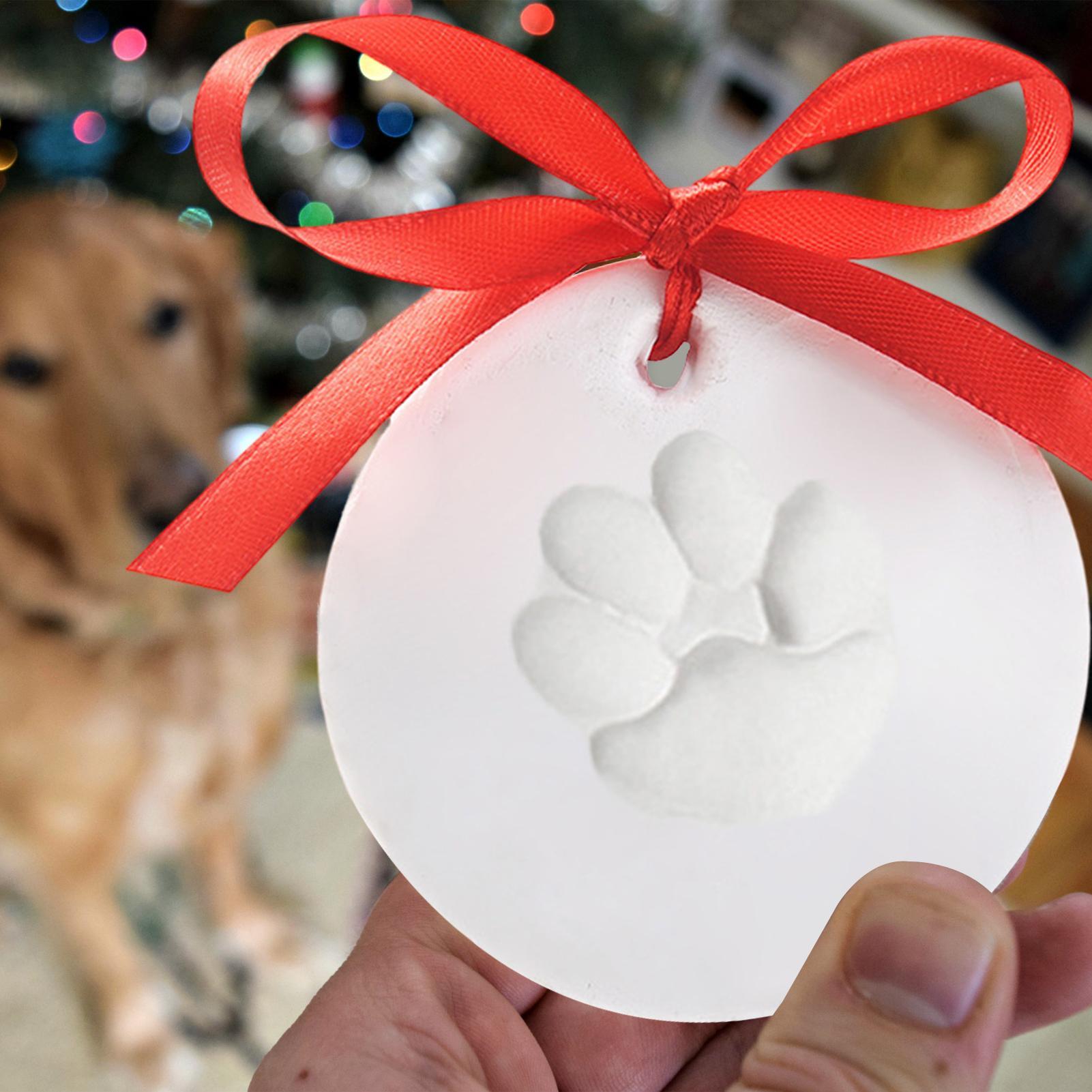 Kit Creativo per Impronte di Z - Pet Supplies Young recensione e prezzo