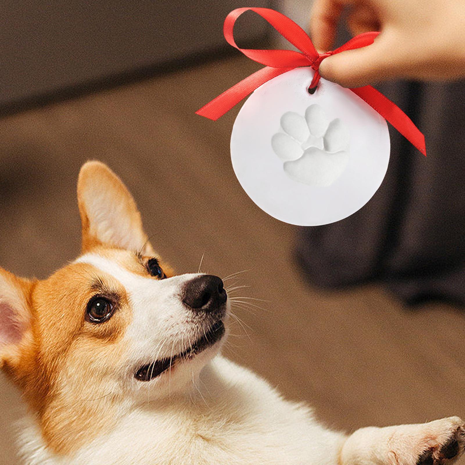 Kit Creativo per Impronte di Z - Pet Supplies Young recensione e prezzo