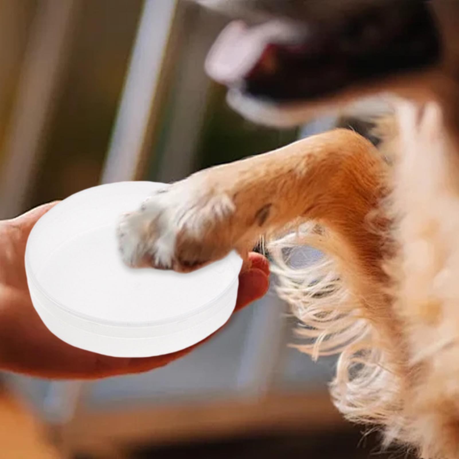 Kit Creativo per Impronte di Z - Pet Supplies Young recensione e prezzo