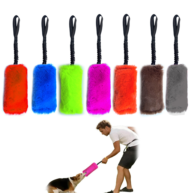 Confezione da 2 Giocattoli Int - Pet Supplies Young recensione e prezzo
