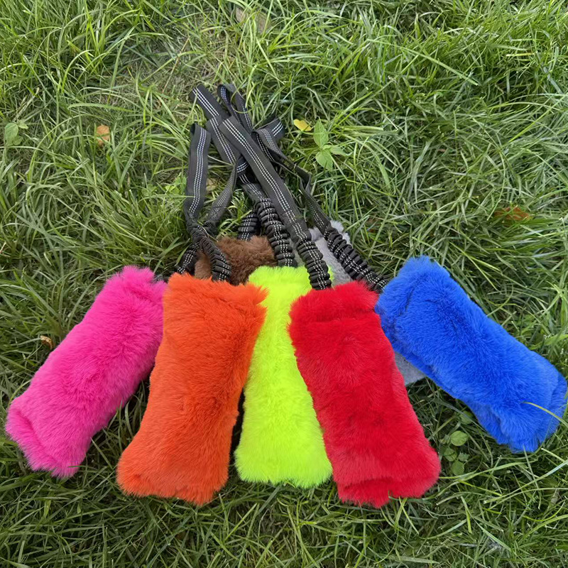 Confezione da 2 Giocattoli Int - Pet Supplies Young recensione e prezzo