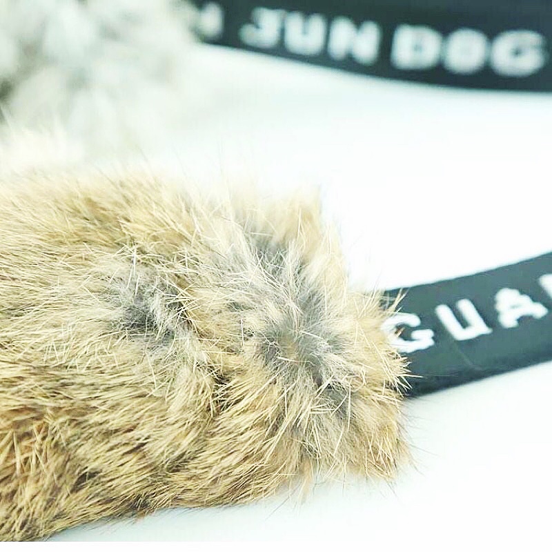 Giocattolo da Masticare per Ca - Pet Supplies Young recensione e prezzo
