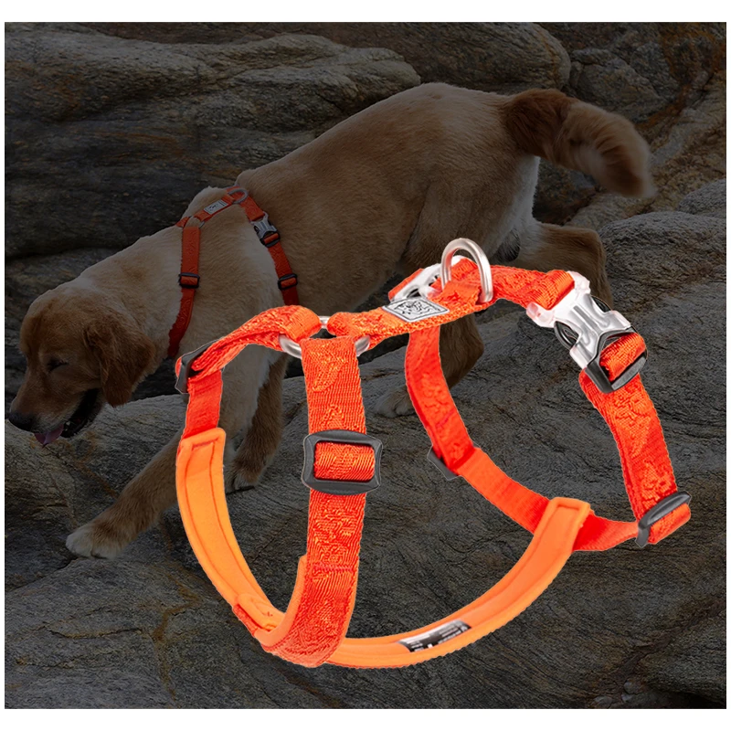 TRUELOVE Pet Hairy Usag Premiu - No Pull Dog Harness recensione e prezzo