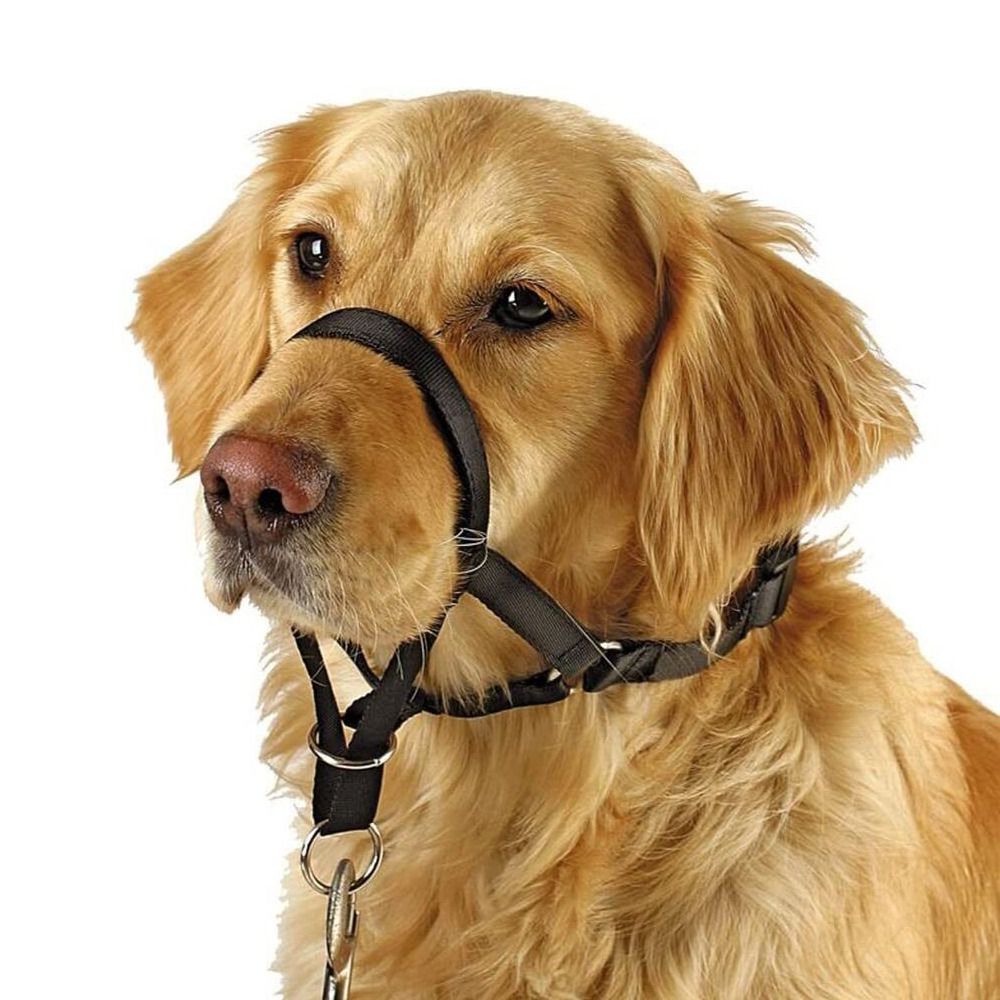 Guinzaglio da addestramento in - No Pull Dog Harness recensione e prezzo