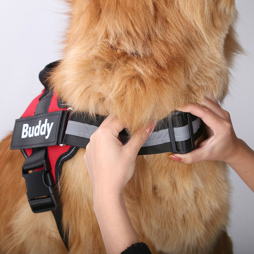 Gilet per imbracatura per cani - No Pull Dog Harness recensione e prezzo