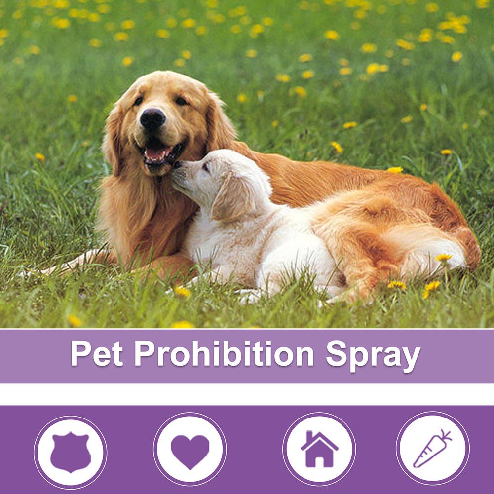 Spray Calmante per Animali Dom - Pet Supplies Discount recensione e prezzo