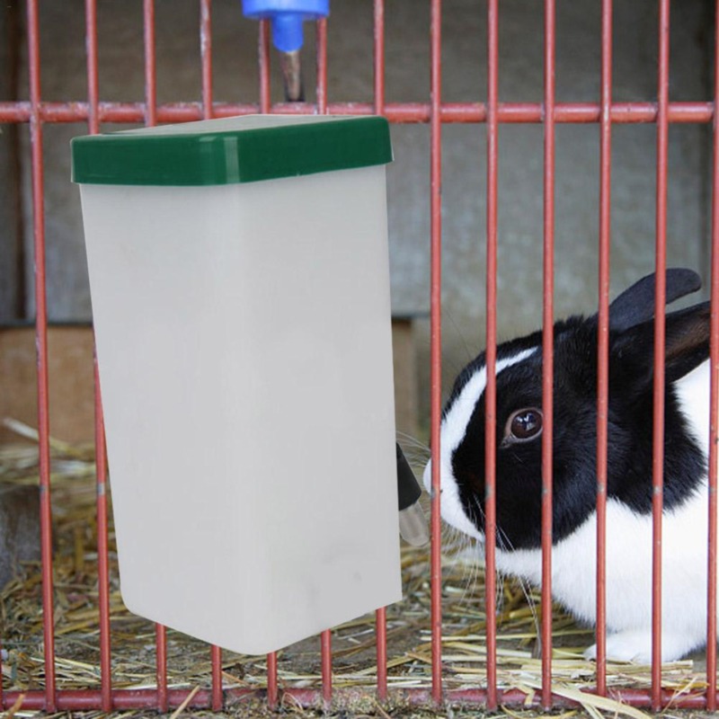 Dispenser d'Acqua per Animali  - Pet Supplies Discount recensione e prezzo