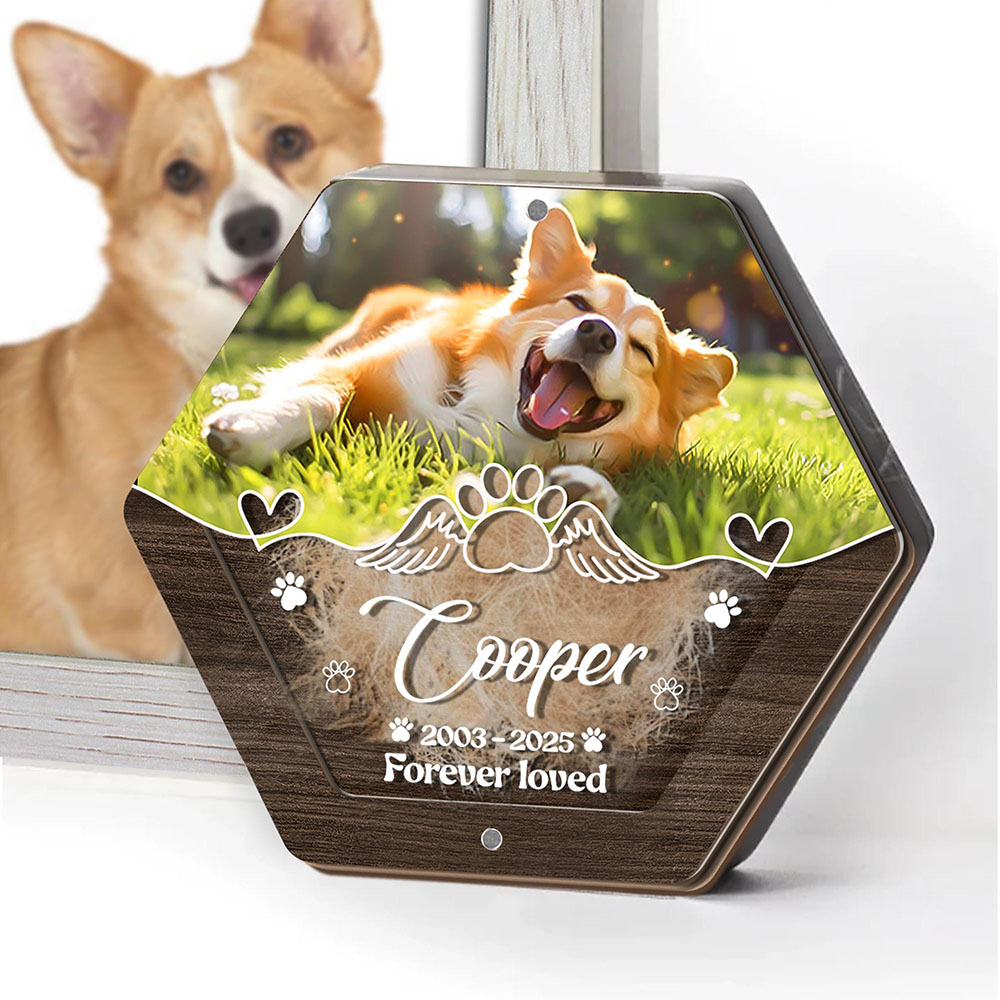 Nome personalizzato Scatola po - Pet Supplies Discount recensione e prezzo