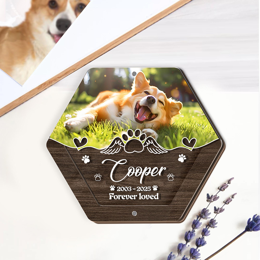 Nome personalizzato Scatola po - Pet Supplies Discount recensione e prezzo