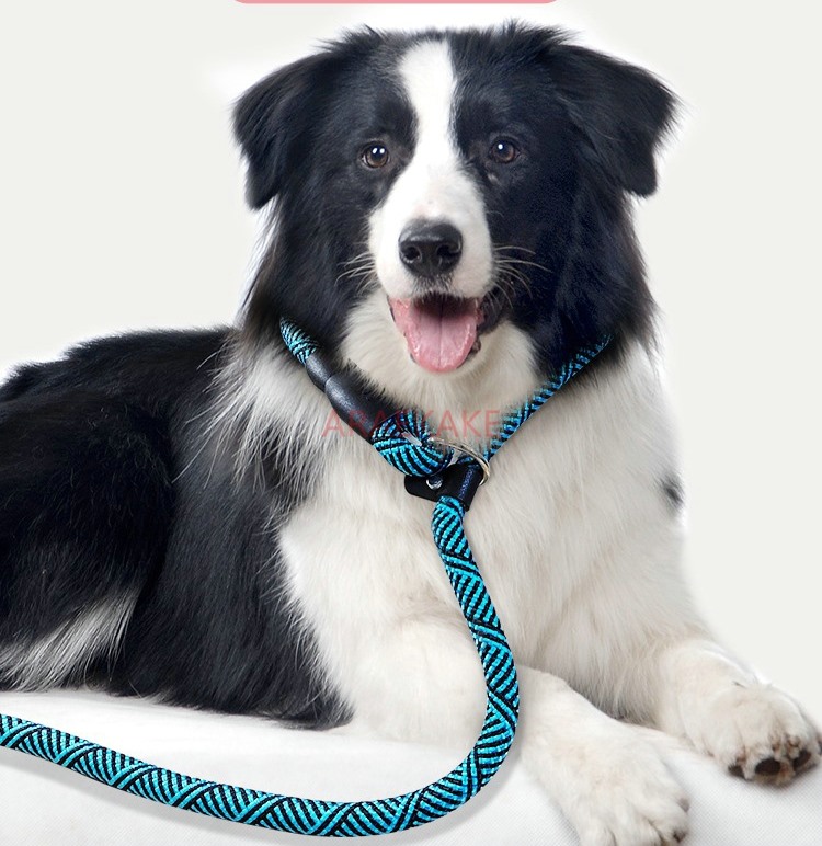 Corda P antideflagrante per ca - Pet Supplies Young recensione e prezzo
