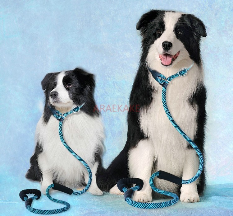 Corda P antideflagrante per ca - Pet Supplies Young recensione e prezzo