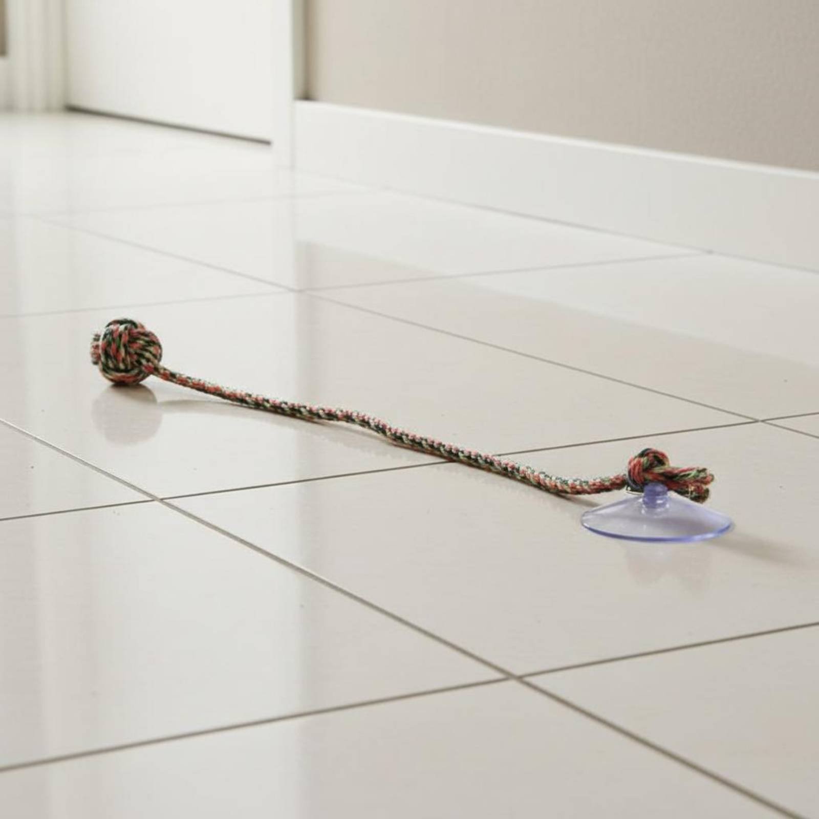 Giocattolo per Cani con Ventos - Pet Supplies Young recensione e prezzo