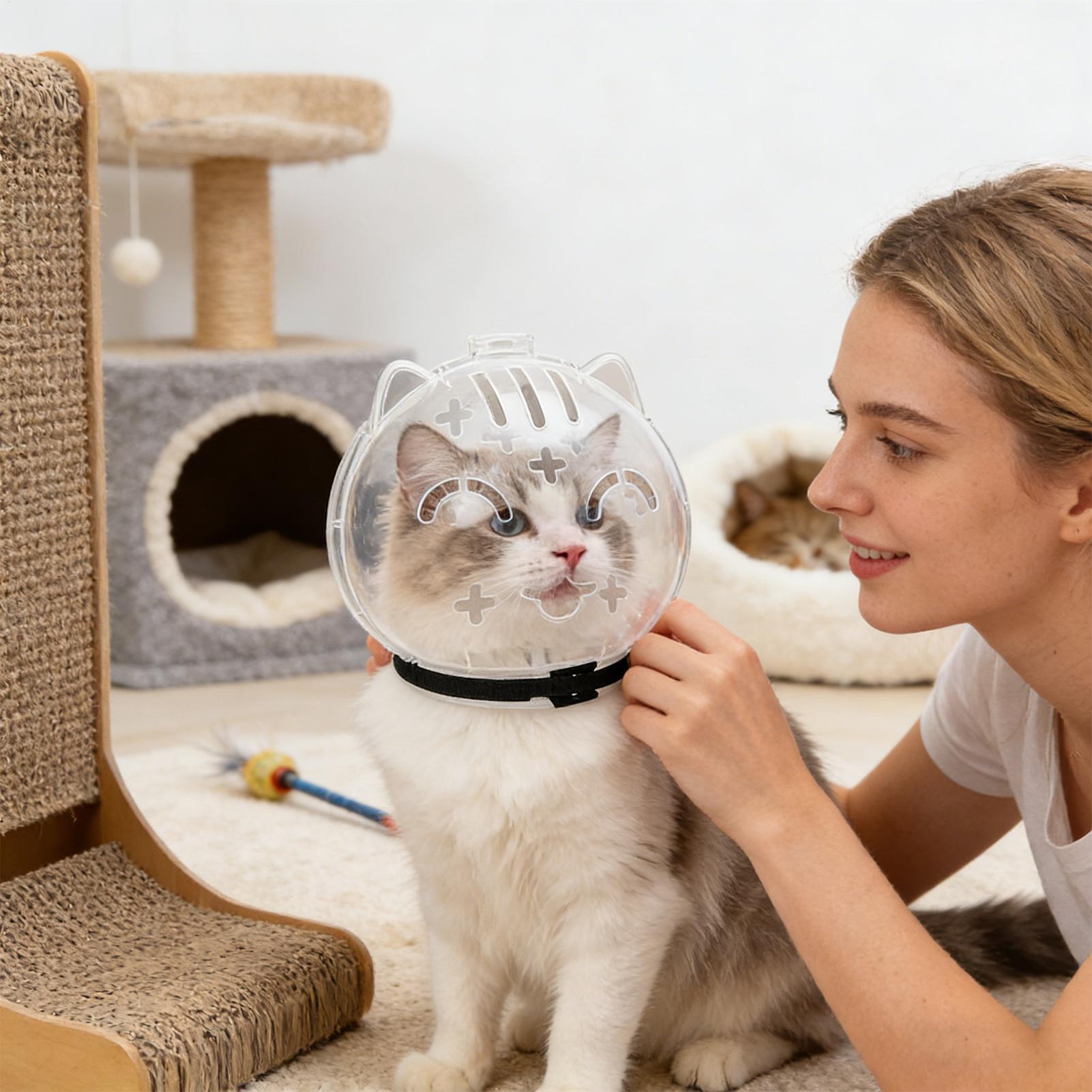 Museruola Traspirante per Gatt - Pet Supplies Young recensione e prezzo