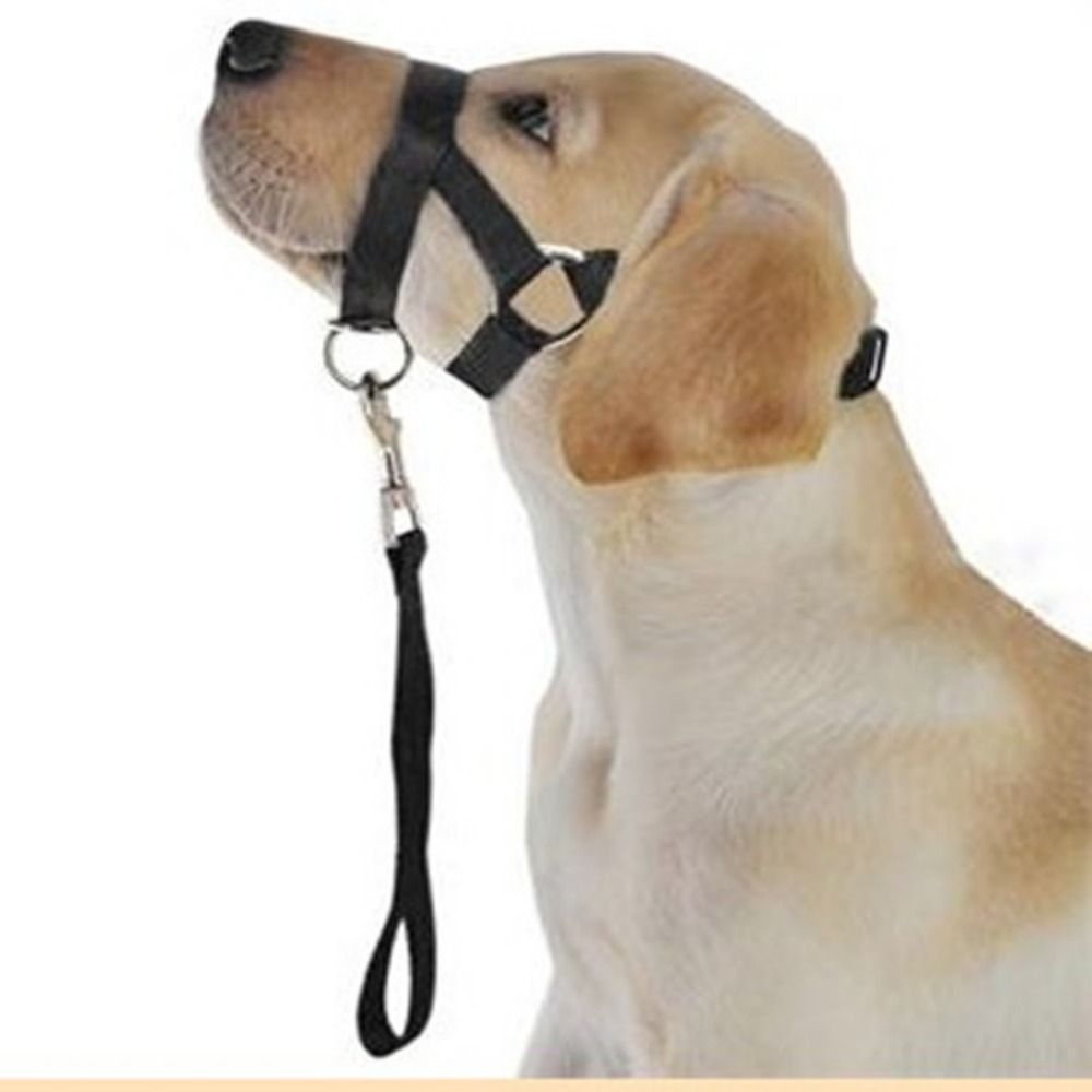 Regolabile Anti barking Non Pu - No Pull Dog Harness recensione e prezzo