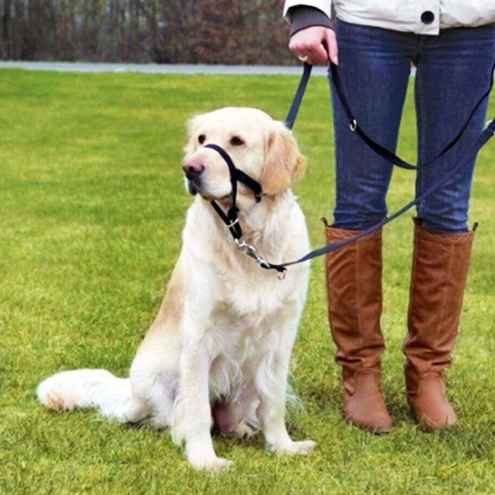 Regolabile Anti barking Non Pu - No Pull Dog Harness recensione e prezzo