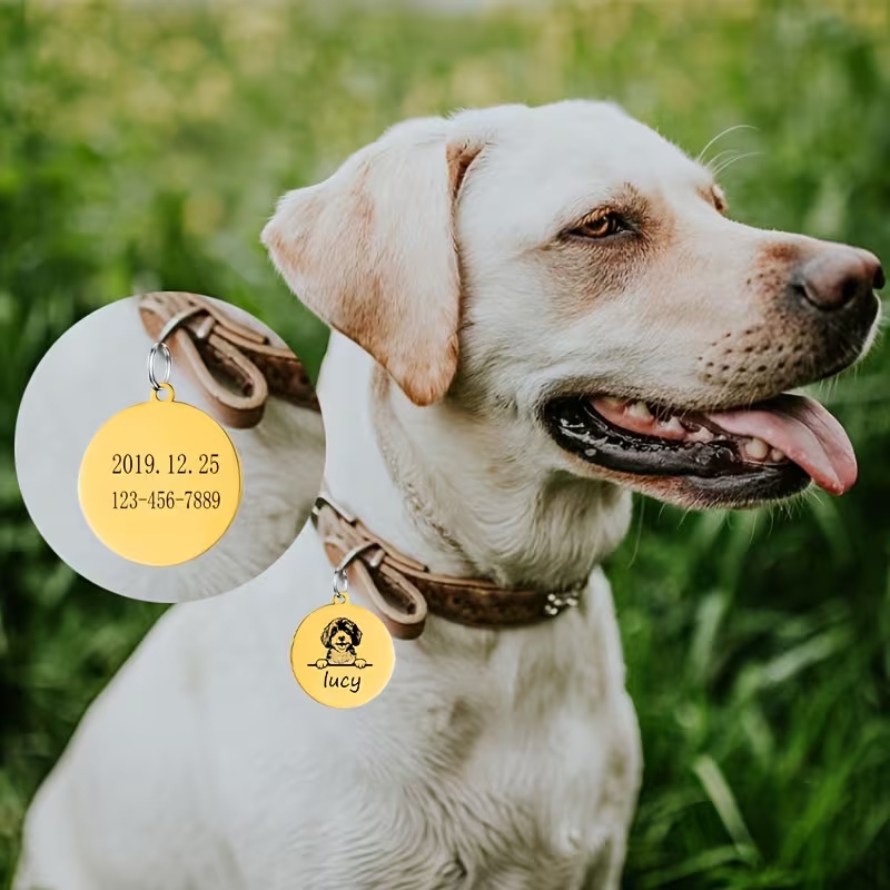 Collari Personalizzati Anti-sm - Pet Supplies Discount recensione e prezzo